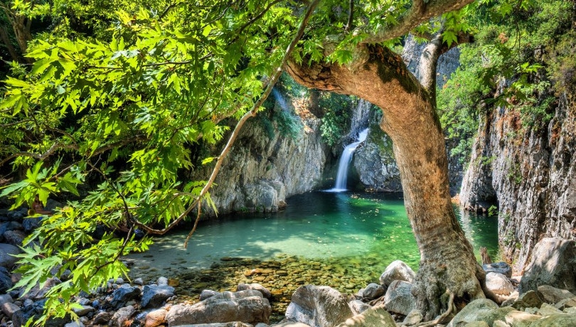 The Fonias Gorge